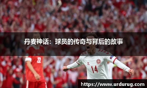 智博19有限公司